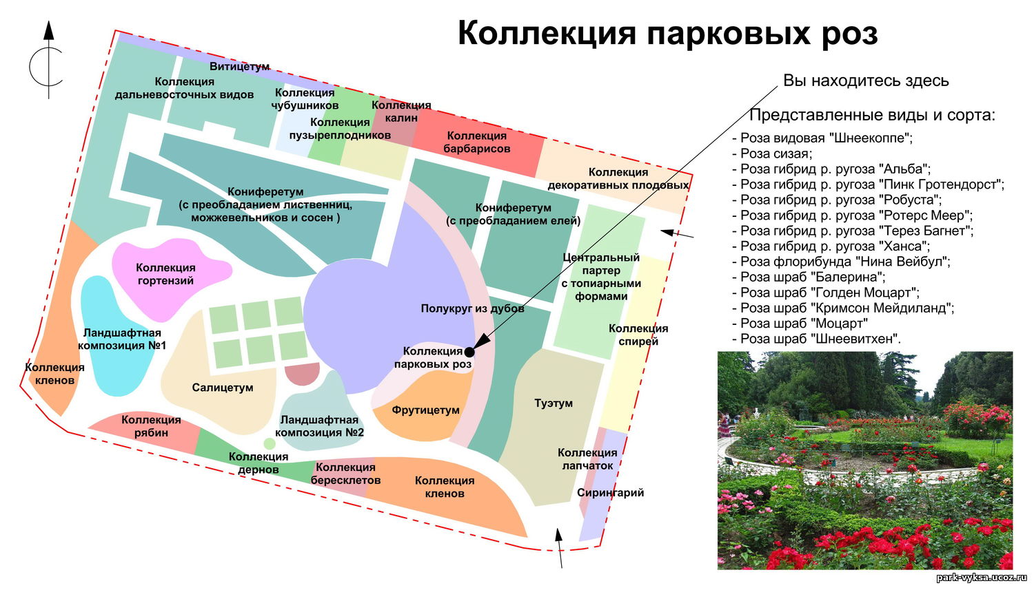 Ботанический сад ростов на дону на карта